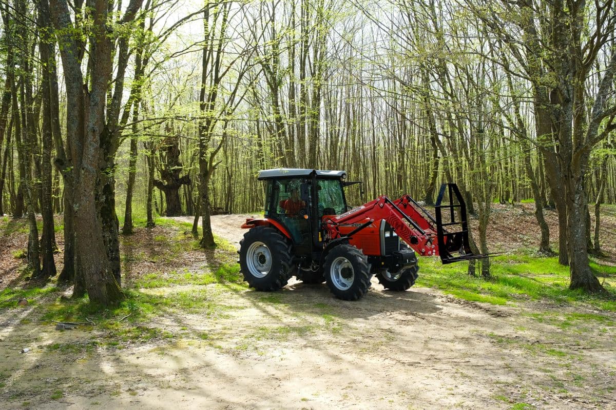 Hattat 285 S — fotoğraf 4